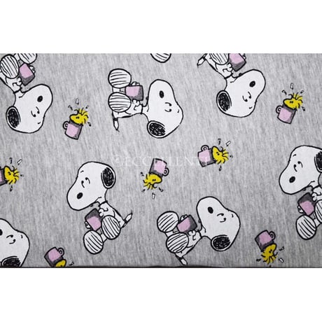 【プライマークホーム】PRIMARK HOME x PEANUTS　スヌーピー　ナイトウェア上下セット