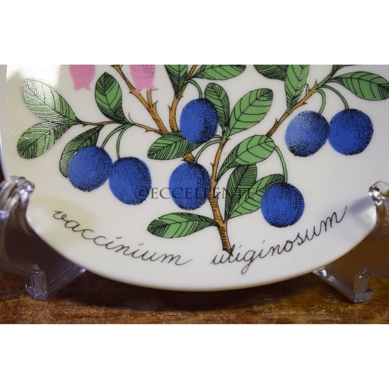 アラビア BOTANICA ボタニカ タンジー エステリ・トムラ ARABIA アラビア BOTANICA ボタニカ タンジー エステリ・トムラ ARABIA Arabia