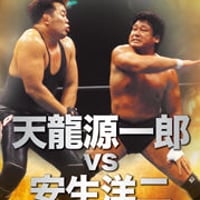 プロレス名勝負コレクション　VOL.15