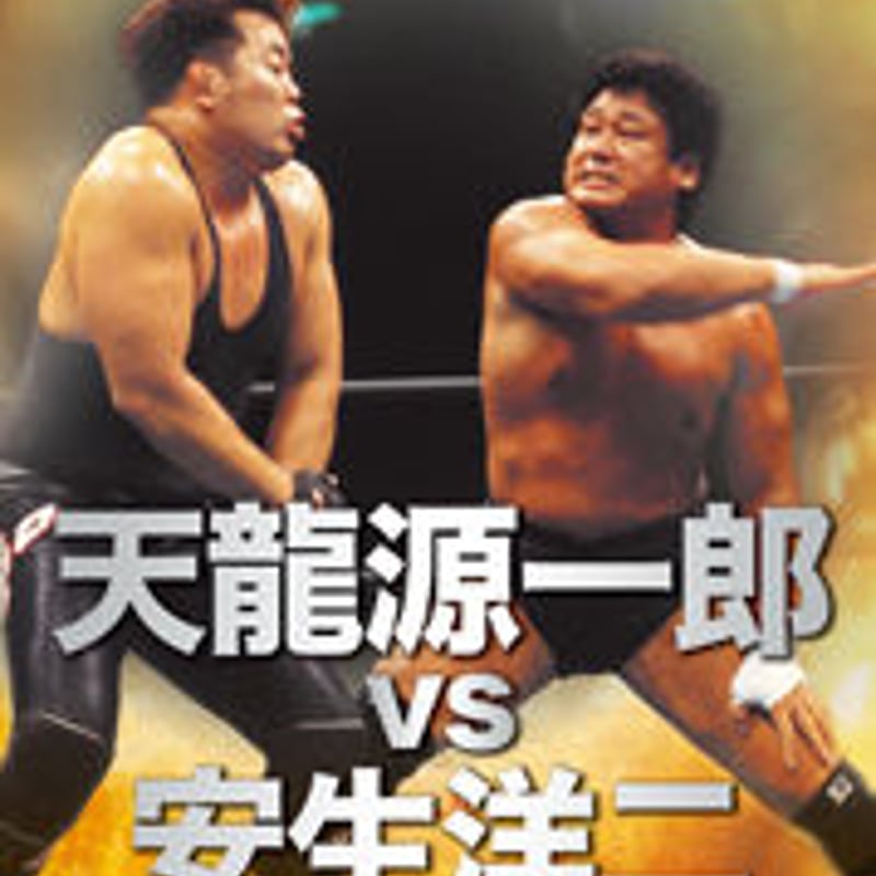プロレス名勝負コレクション VOL.15 | プロレスショップ博多 赤の魂