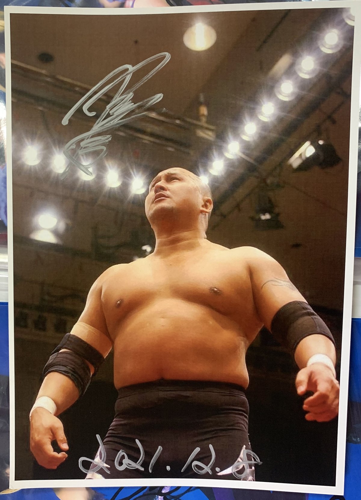 貴重】全日本プロレス レジェンドレスラー直筆サイン色紙