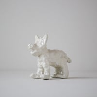 SHOKKI_White dog_standing dog