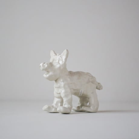 SHOKKI_White dog_standing dog