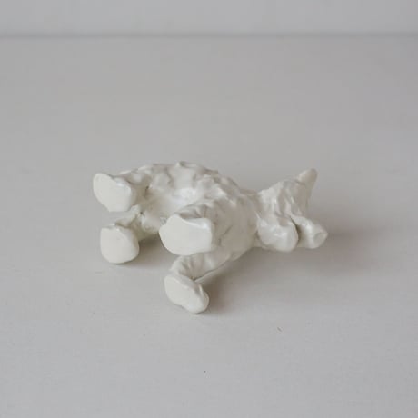 SHOKKI_White dog_standing dog