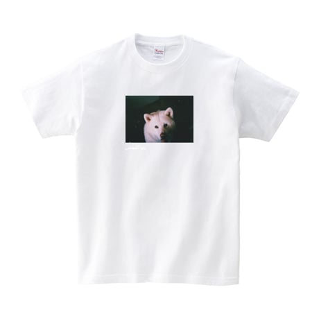 おとうさんTシャツ「キュル」