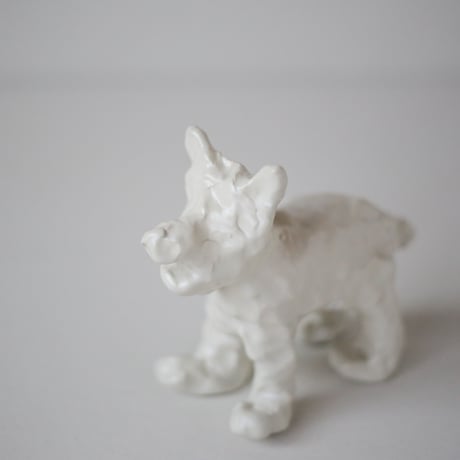 SHOKKI_White dog_standing dog