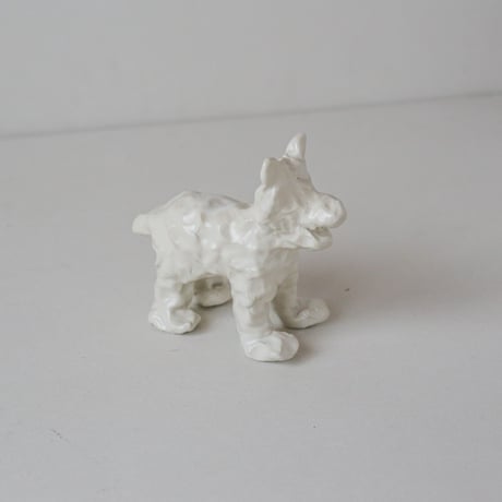 SHOKKI_White dog_standing dog