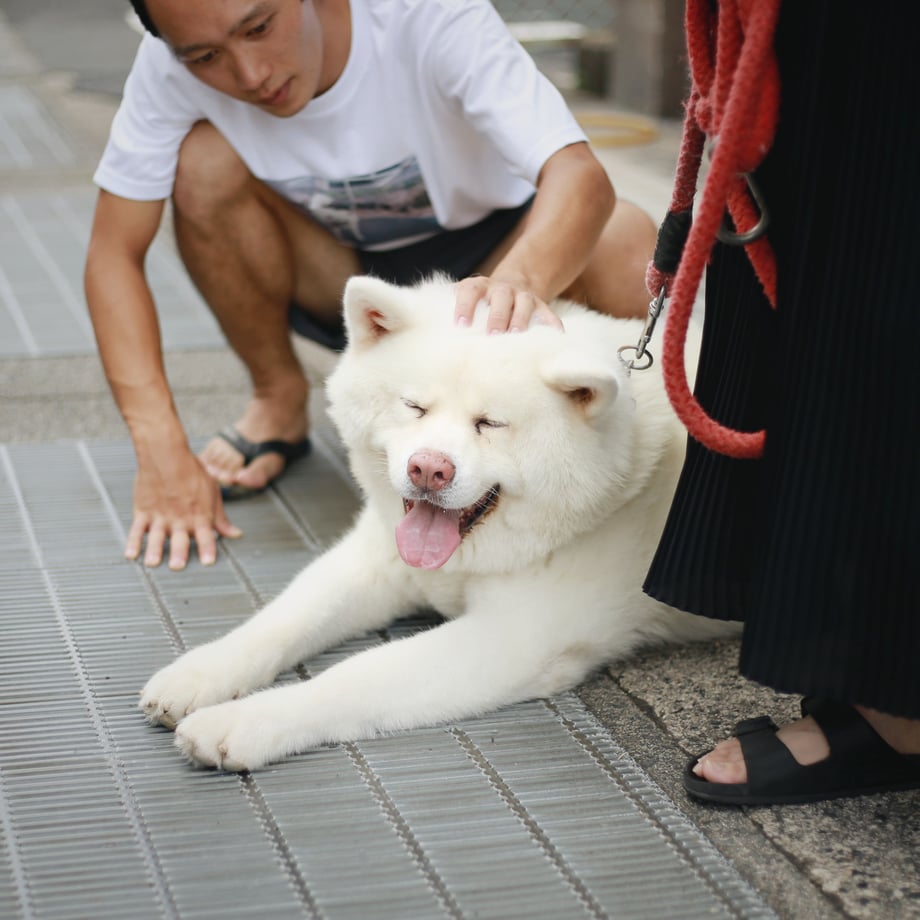 5f0ab777df62a929637cc377