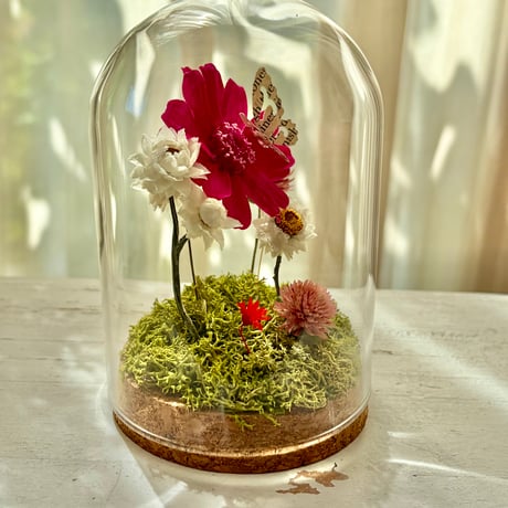 Botanical Dome Pink