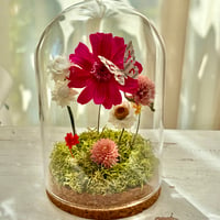Botanical Dome Pink