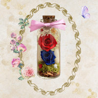 Bottle flower mini Blue×red