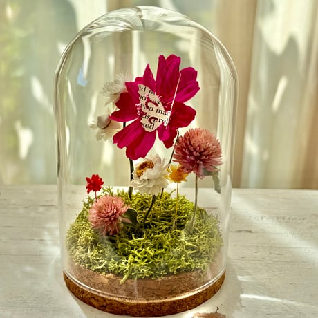 Botanical Dome Pink