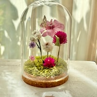 Botanical Dome milk pink