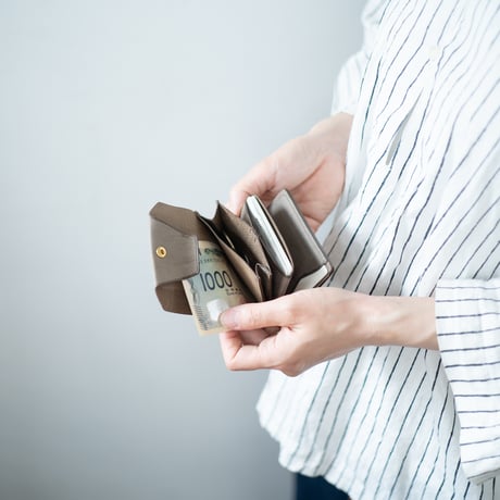 Daily wallet(for left)
