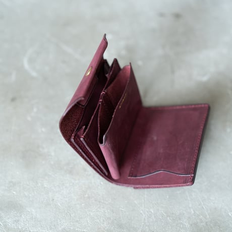 Daily wallet(for left)
