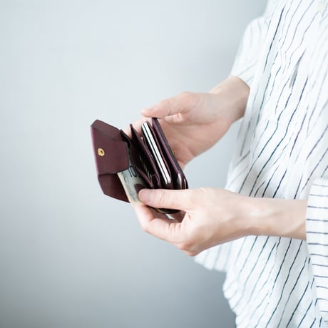 Daily wallet(for left)