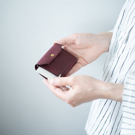 Daily wallet(for left)
