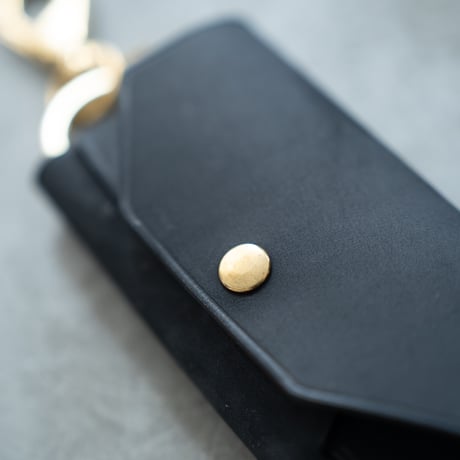 Key case(wide)