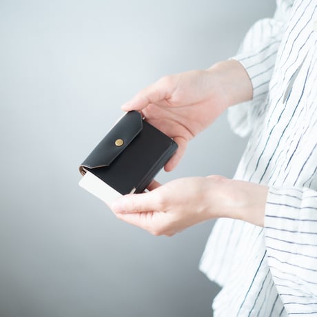 Daily wallet(for left)