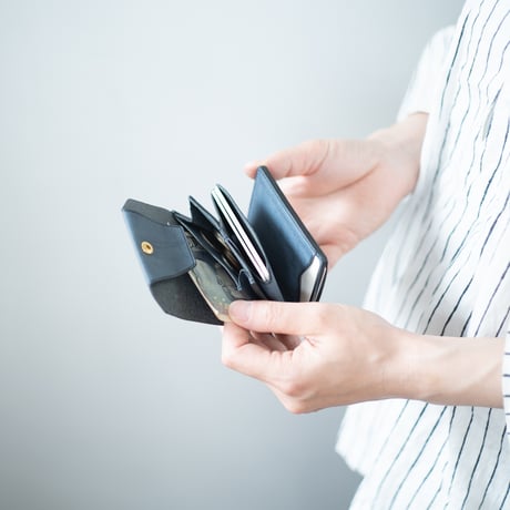 Daily wallet(for left)