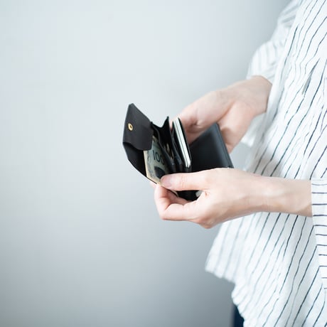 Daily wallet(for left)