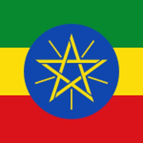 エチオピア　イルガチェフG1　ナチュラル　コチャレ 珈琲豆　100g