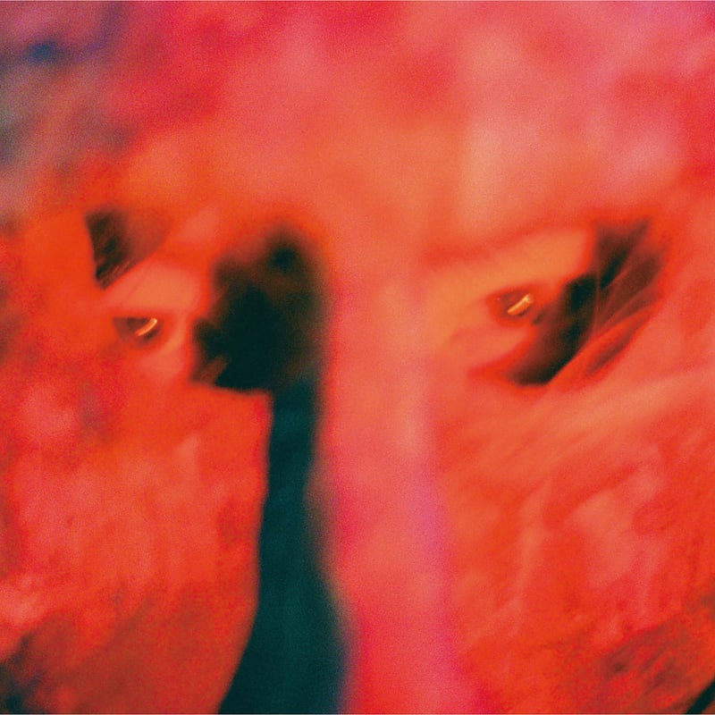 CD】GEZAN「Silence Will Speak」(Reissue) | 十三月|GE
