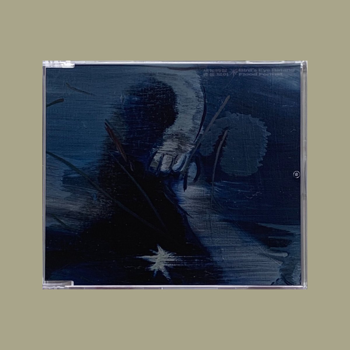 Bird's Eye Batang / Flood Format アナログ Amazon | Flood Format [ALCD-001] | Bird's Eye Batang