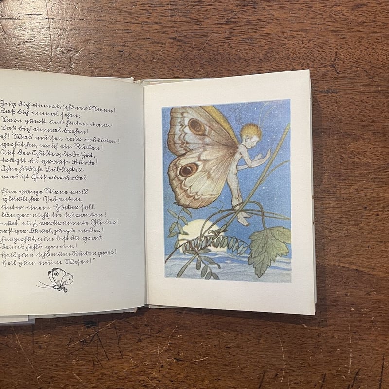 天文古書「遠い世界から Aus fernen Welten」ドイツ 1939年 天文古書「遠い世界から Aus fernen Welten」ドイツ 1939年
