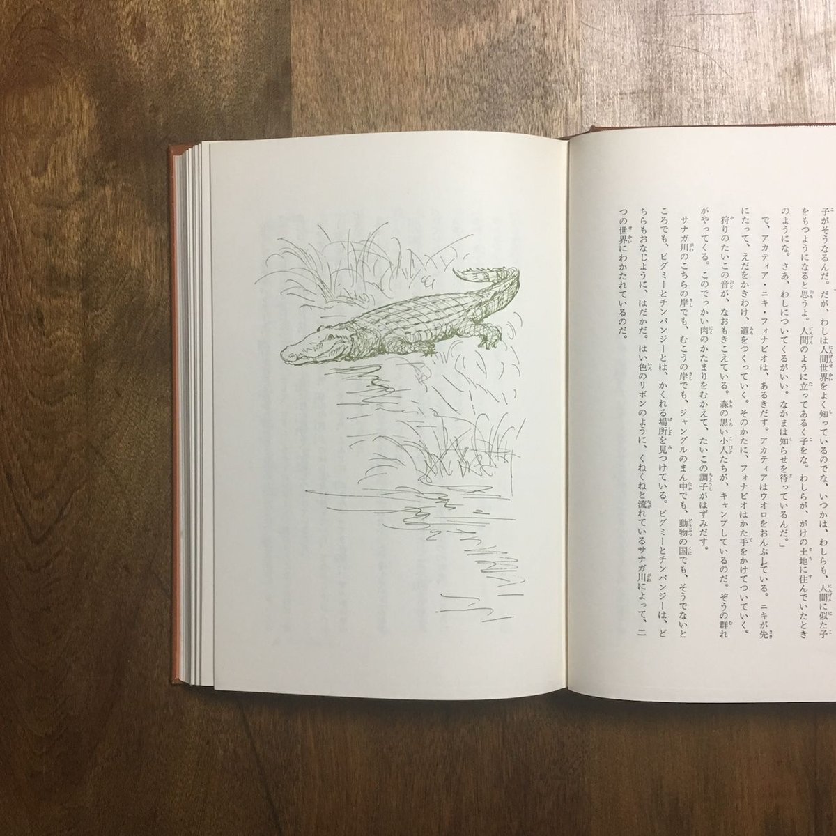 希少品　ルネッサンス絵画　TABLEAUX 全2巻　講談社　118,000円 読書する二人の少女 【15号】 ピエール＝オーギュスト