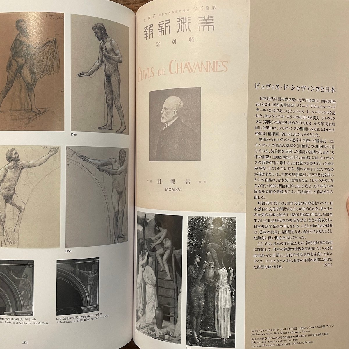 ウォルター・アルビーニ Walter Albini 展覧会図録 【公式通販】