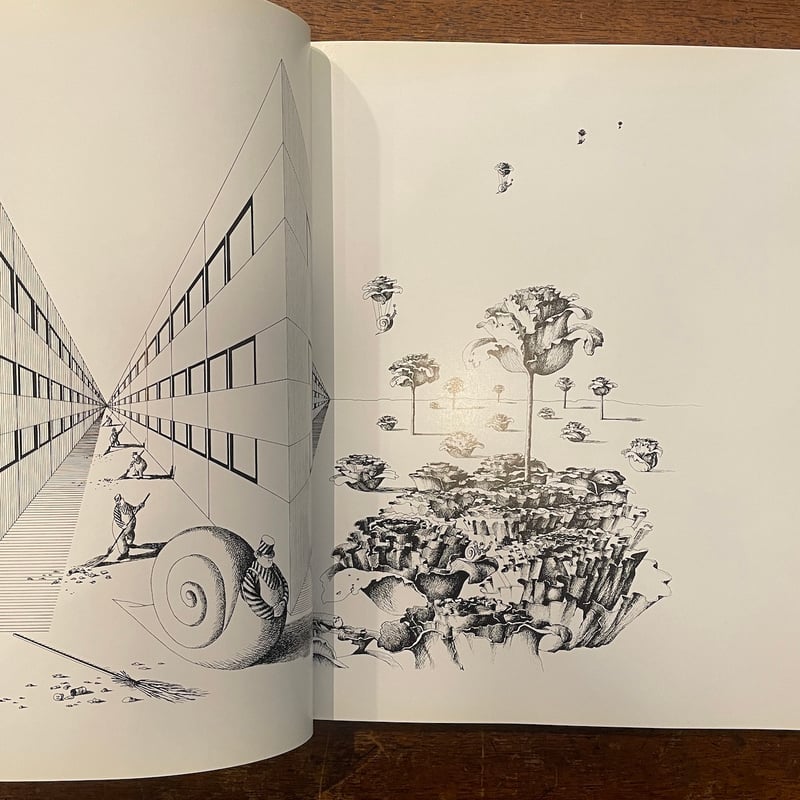 THE ART OF BINETTE SCHROEDER」 | Frobergue online store