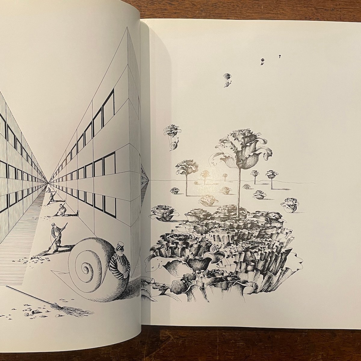 THE ART OF BINETTE SCHROEDER」 | Frobergue onl