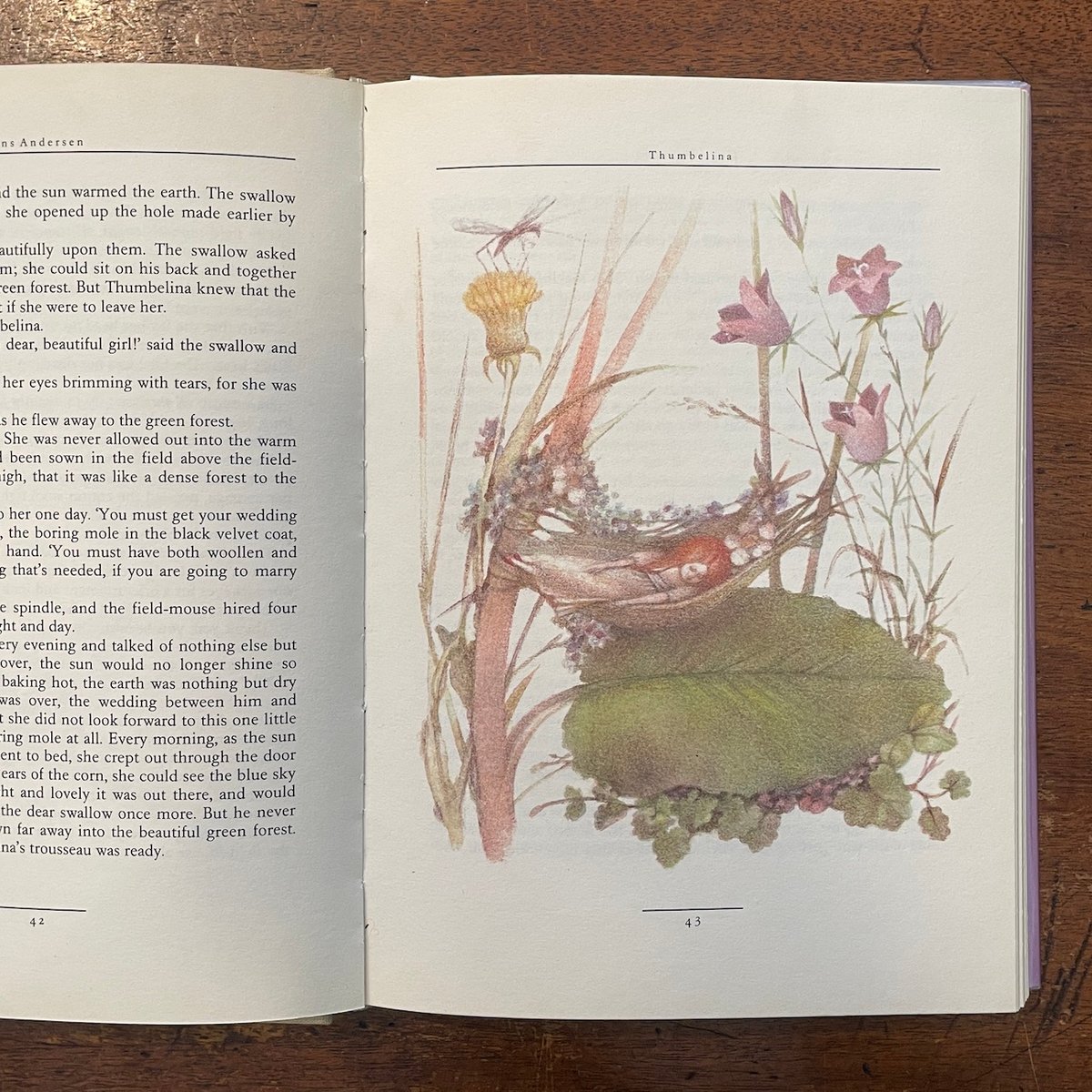 天使の文化図鑑 Ｅｎｇｅｌ  /東洋書林/ヘルベルト・フォアグリムラ-（大型本） 天使の文化図鑑 | ヘルベルト フォアグリムラー, 上田 浩二