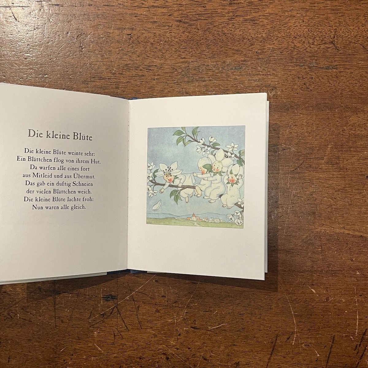 洋書古書【超希少】 ドイツ人気作家イーダボハッタ　1932年初版本！花の妖精 洋書古書【超希少】 ドイツ人気作家イーダボハッタ 1932年初版本