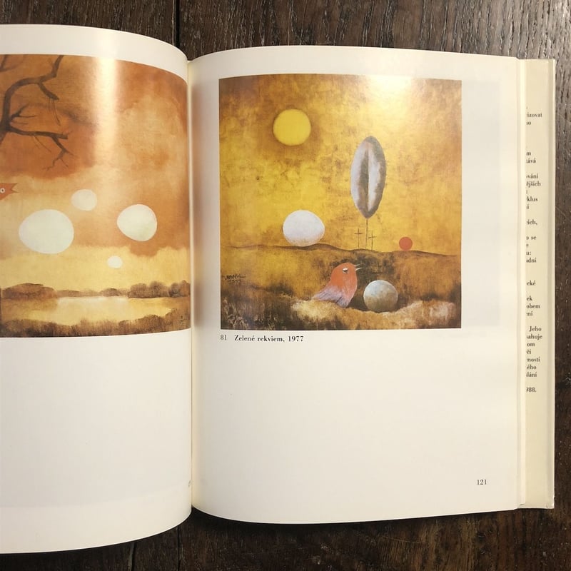 OTA JANECEK オタ ヤネチェク zena デッサン集