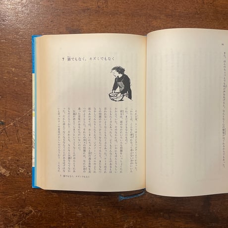「サティン入江のなぞ」フィリパ・ピアス