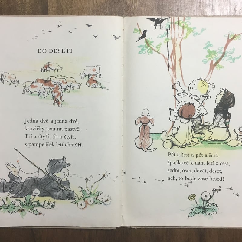 エミール・アジャール 「これからの一生」 1977年初版帯付 エミール・アジャール 「これからの一生」 1977年初版帯付 これからの