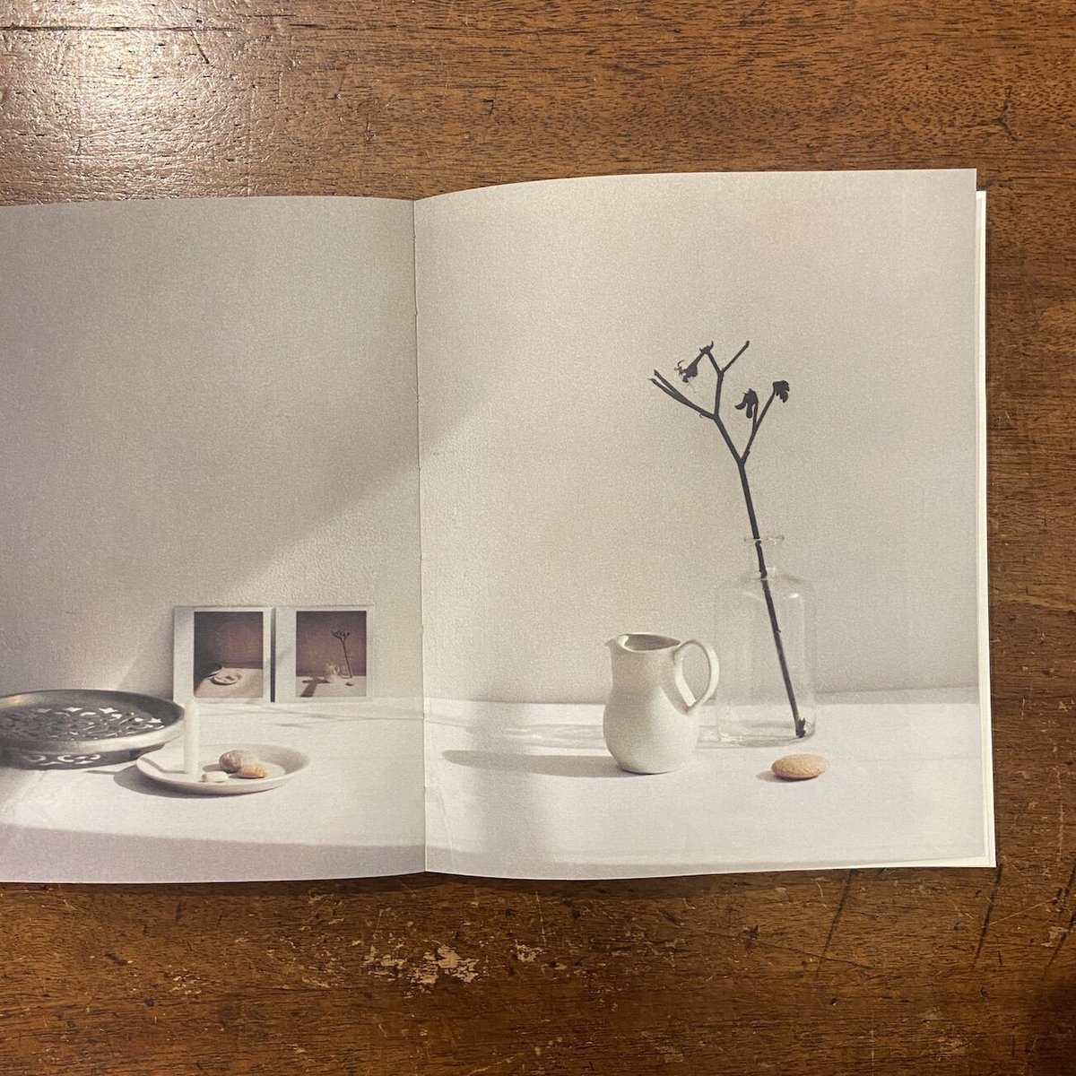 ユーカリthis is a book she is interior styl