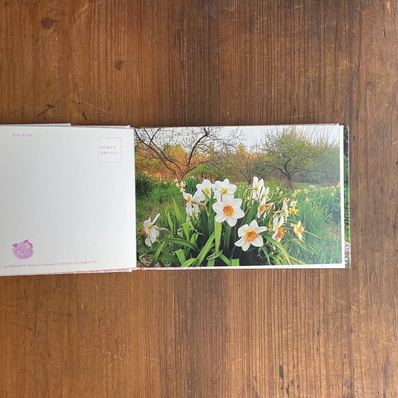 ターシャ・テューダーの花のポストカードブック」 | Frobergue online