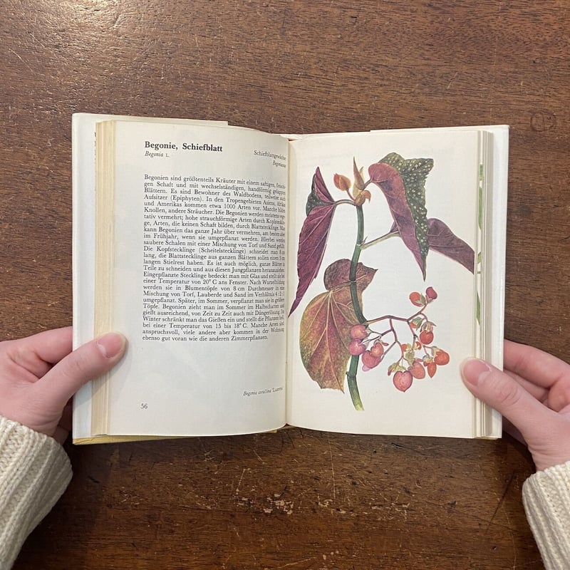 TASCHENATLAS DER ZIMMERPFLANZEN」Jaroslav Oplt