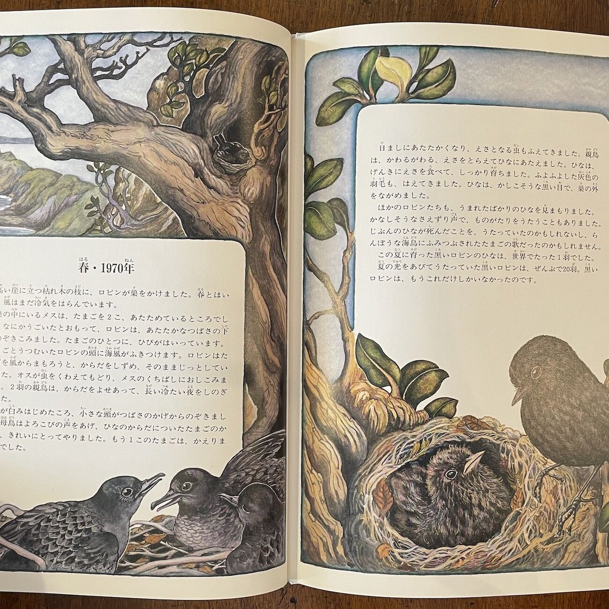 100年前の古書　希少　1923年　Birds and their young 100年前の古書 希少 1923年 Birds and their young 公式の店舗 100