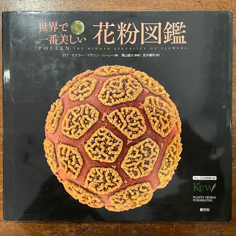 世界でいちばん美しい皿の図鑑 世界でいちばん美しい皿の図鑑 | シャックス・リーグラー,矢沢