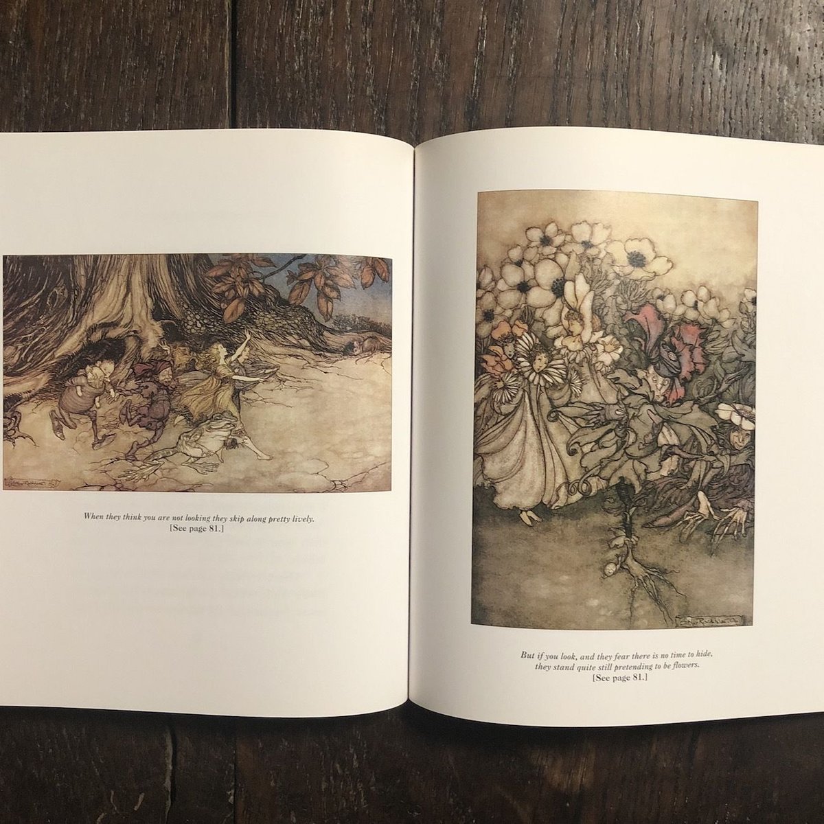 Peter Pan in Kensington Garden」J.M. Barrie Art