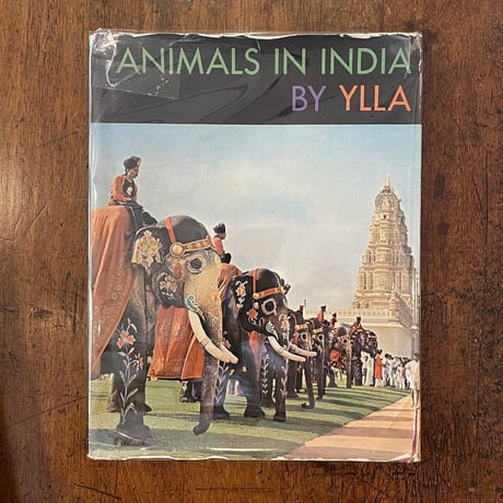 「ANIMALS IN INDIA」Ylla（イーラ）