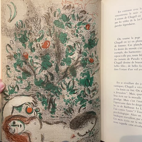 「Dessins pour la Bible. Verve Vol.X, Nos 37 et 38（1960年／リトグラフ24枚入り）」Marc Chagall（マルク・シャガール）