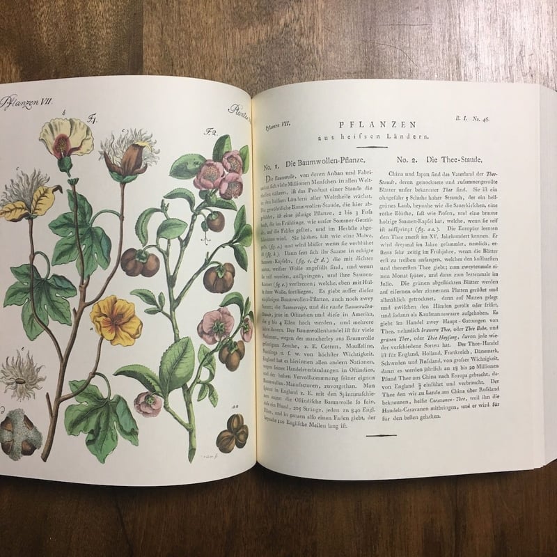 ベルリンコレクション19巻　アンティーク絵本　ほるぷ出版 ベルリンコレクション19巻 アンティーク絵本 ほるぷ出版