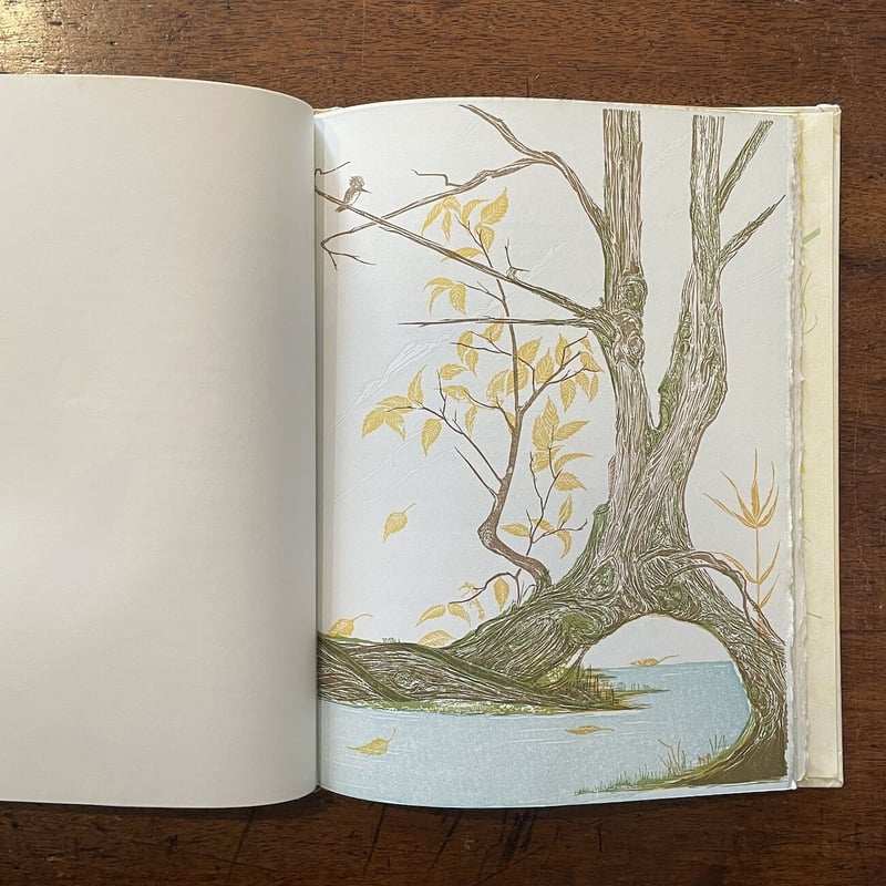 THE ENDURING COSMOS」Gwen Frostic | Frobergue