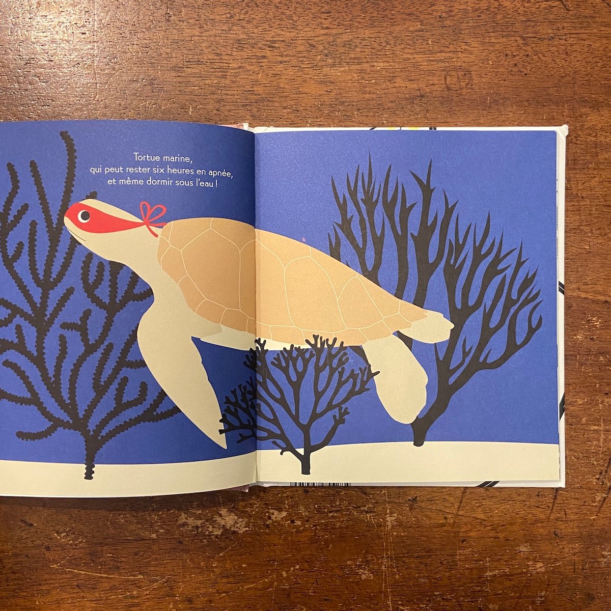 je veux un super pouvoir！」Emilie Vast（エミリー・ヴァス