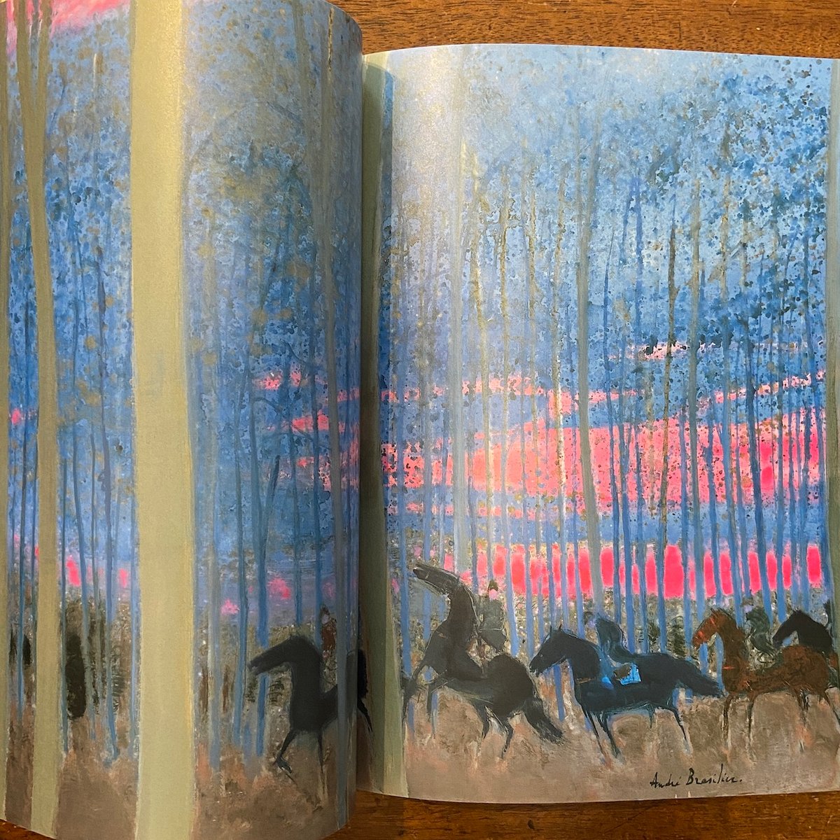 アンドレ　ブラジリエ　洋書 fit=scale-down,w=1200